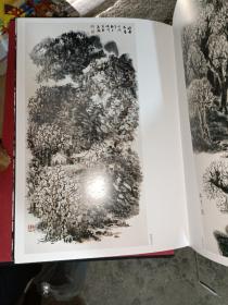 中国当代名家画集· 赵振川(8开函装）