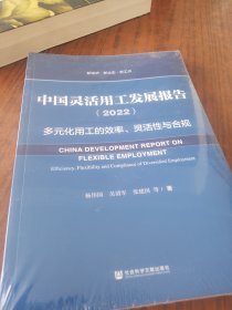 中国灵活用工发展报告（2022）多元化用工的效率、灵活性与合规