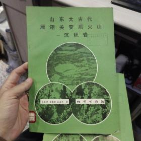 山东太古代雁翎关变质火山-沉积岩  程裕淇 王泽九 等 出版社:  地质出版社