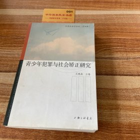 青少年犯罪与社会矫正研究/犯罪社会论坛（第四辑）