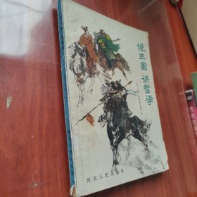 说三国讲哲学
