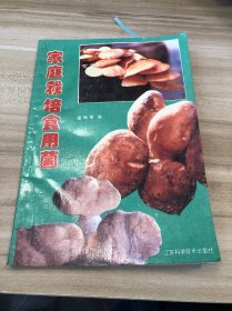 家庭栽培食用菌