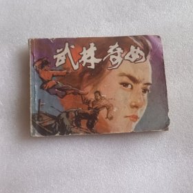 武林奇女 连环画