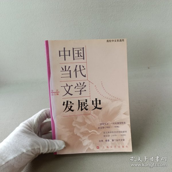 中国当代文学发展史