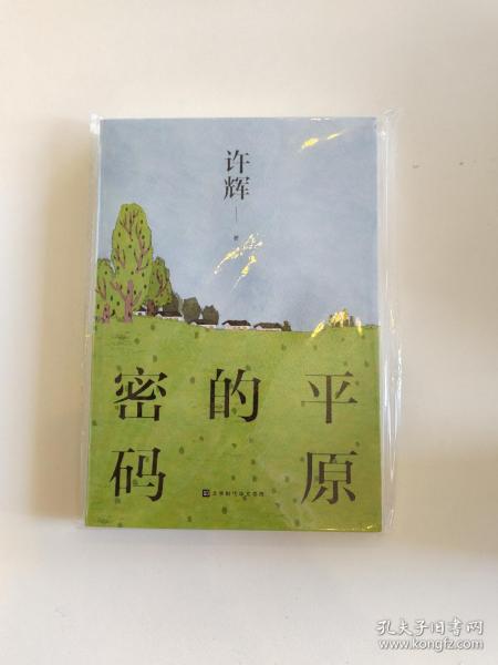 平原的密码（散文家许辉先生作品，对平原有着不同寻常的理解，对平原的社会和人群有着深入的思考）