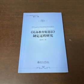 北京大学教育政策研究丛书：《民办教育促进法》制定过程研究