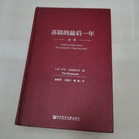 苏联的最后一年