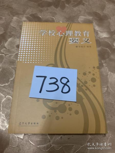 学校心理教育要义