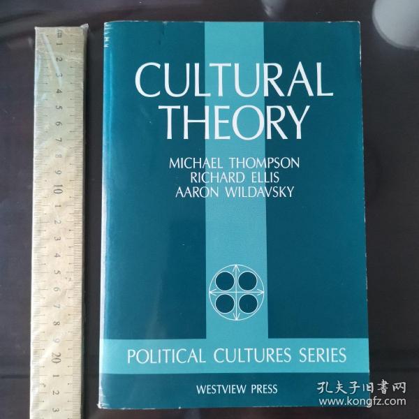 cultural  theory theories history of culture cultural studies 英文原版