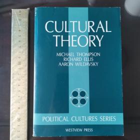 cultural  theory theories history of culture cultural studies 英文原版