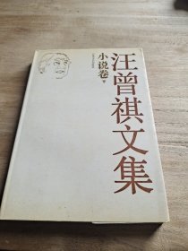 汪曾祺文集 小说卷 下册