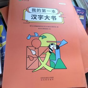 我的第一本汉字大书（破损，污渍，有无塑封，如图，随机发货）