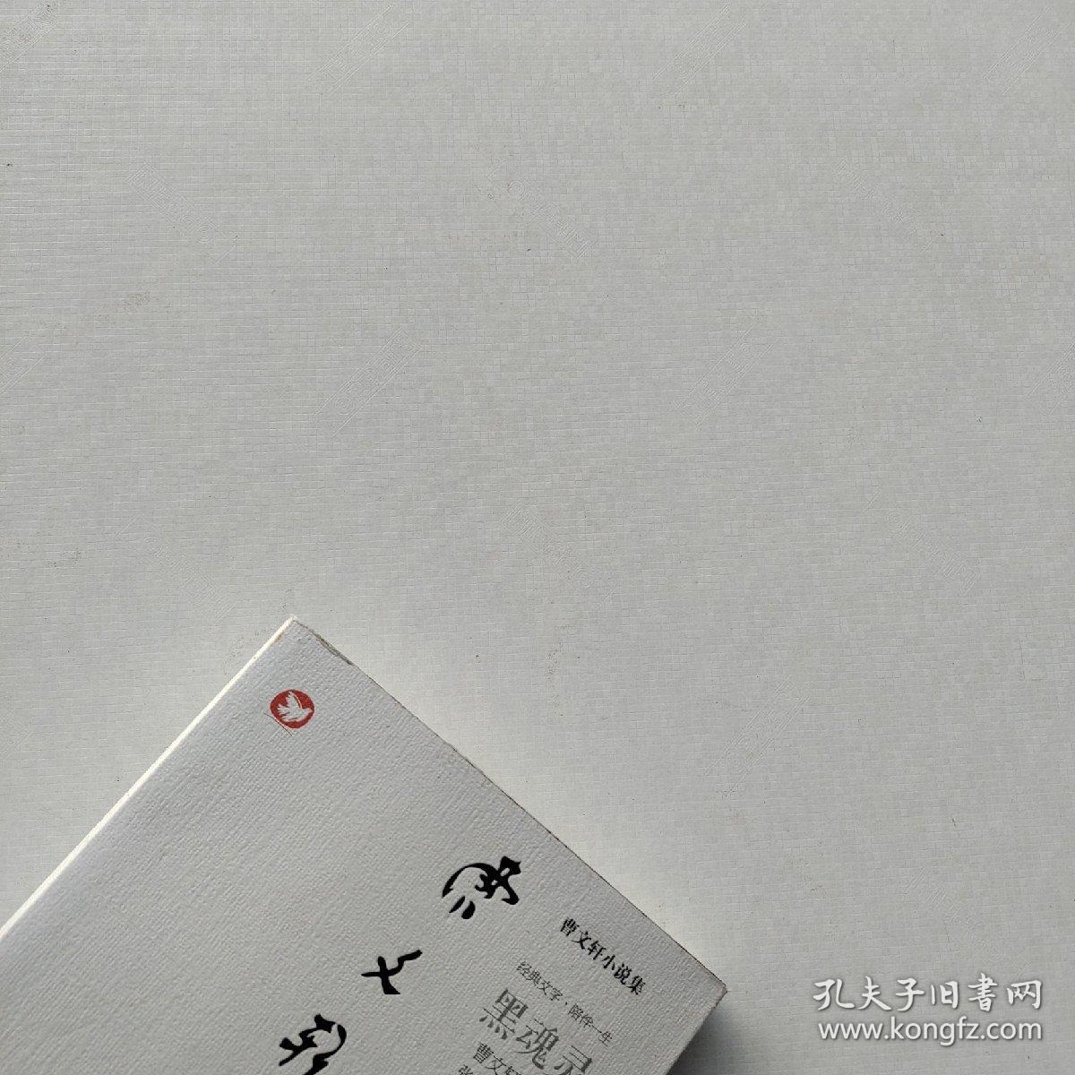 现货《黑魂灵》