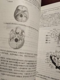 神经内科基础知识及典型病例分析