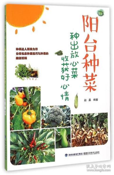 阳台种菜：种出放心菜收获好心情