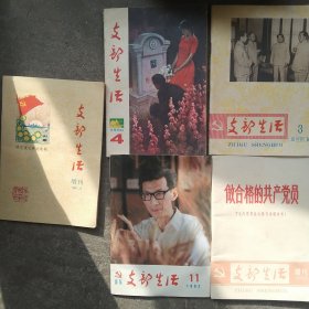 80年代支部生活5本合售如图