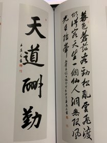 文学梦翰墨情王志文书法文学作品集