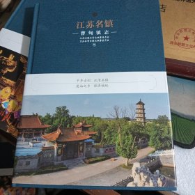 江苏名镇 曹甸镇志