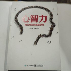 心智力 商业奇迹的底层思维