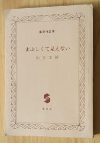 日文书 まぶしくて见えない  山本 文绪  (著)