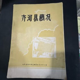 齐河县概况