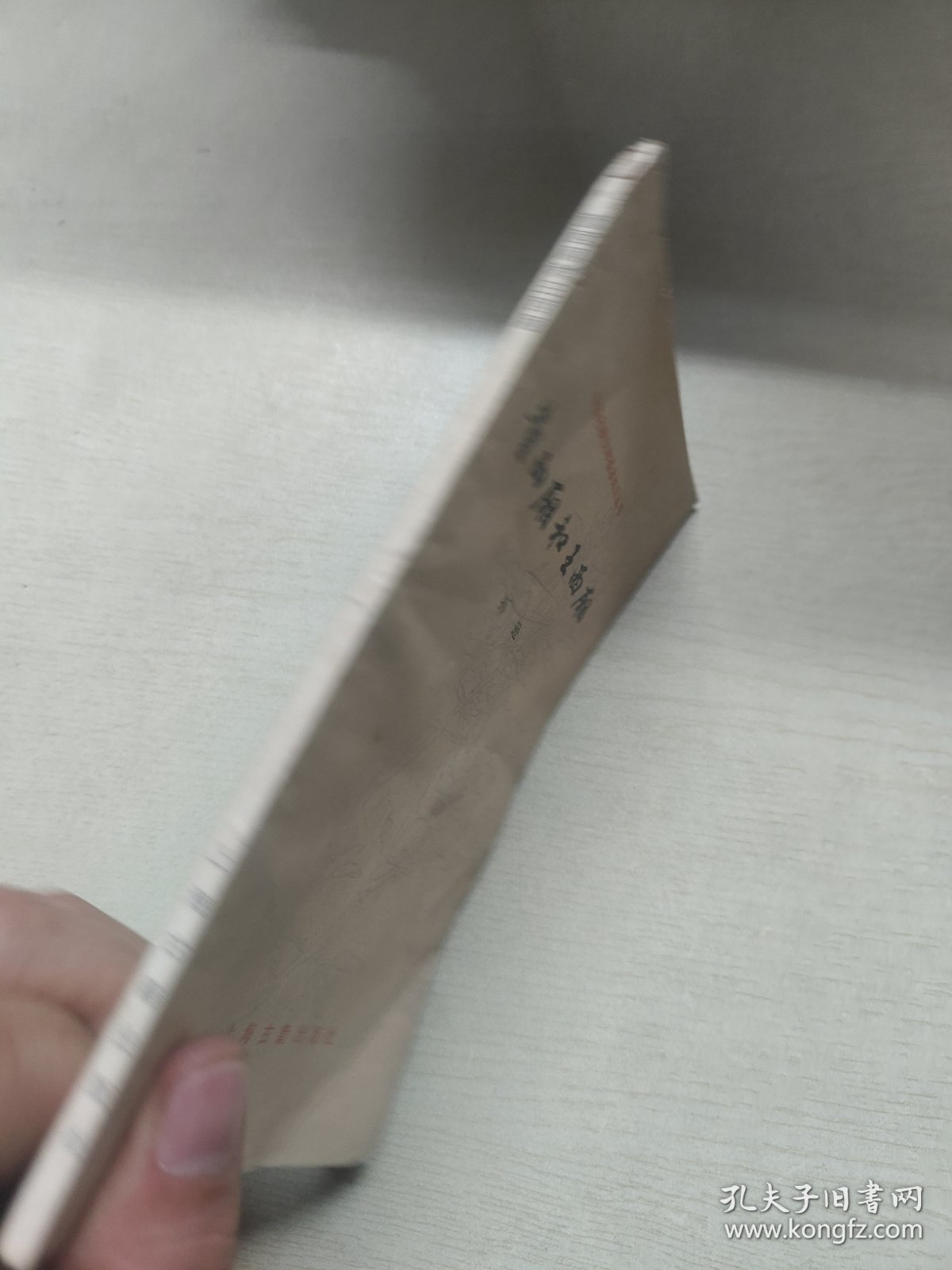 中国古典文学基本知识丛书:董西厢和王西厢