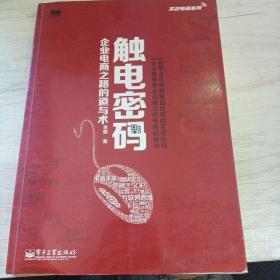 实战电商系列·触电密码：企业电商之路的道与术（全彩）