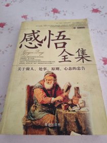 感悟全集
