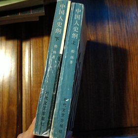 中国人史纲（上下两册）