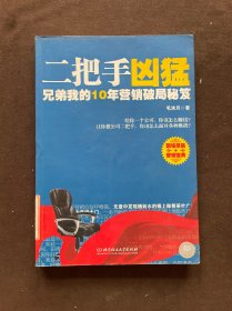 二把手凶猛：兄弟我的10年营销破局秘笈