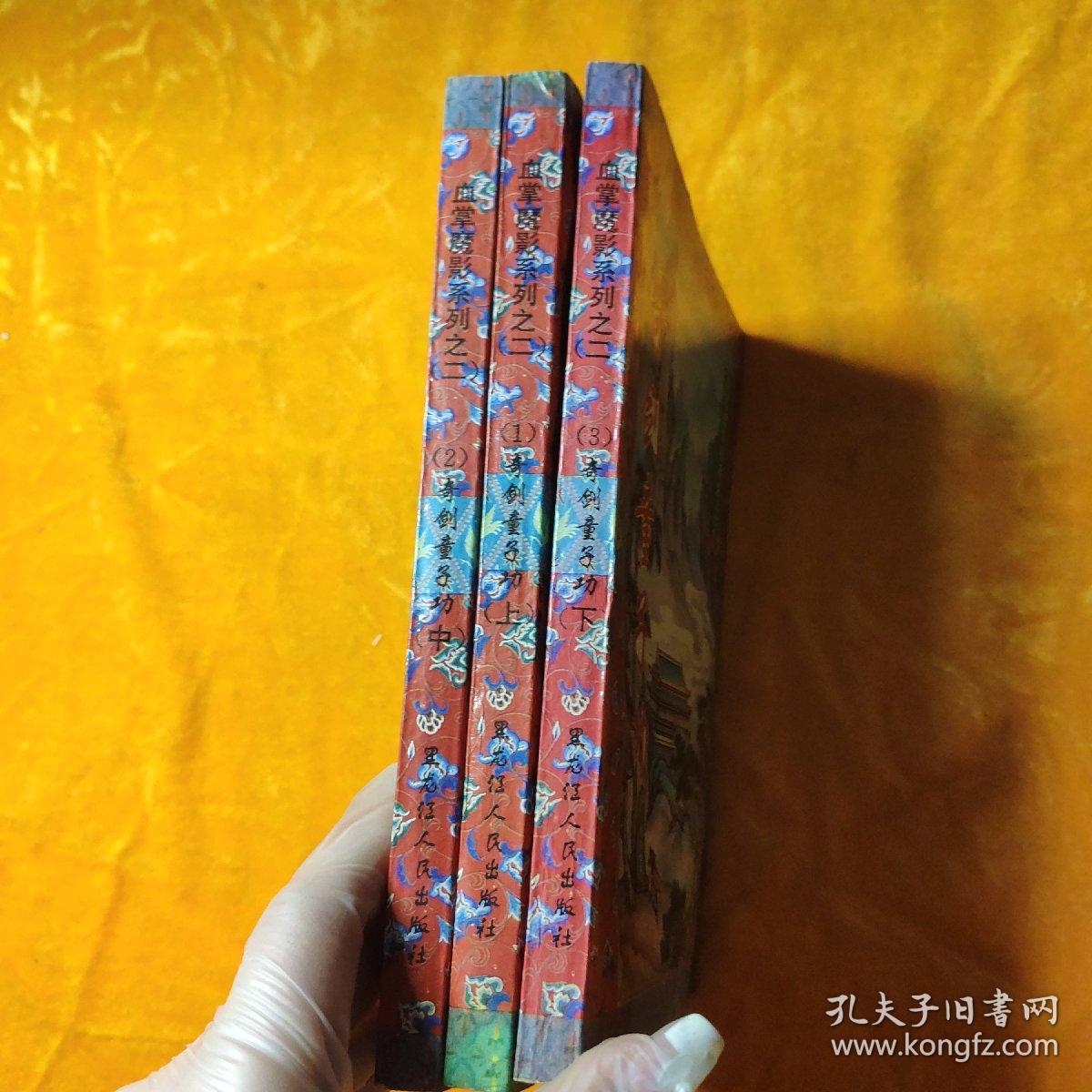 血掌魔影系列二(1一5)奇剑童子功(上中下)