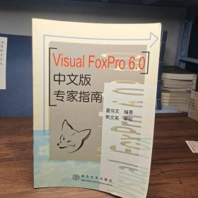 Visual FoxPro 6.0 中文版专家指南