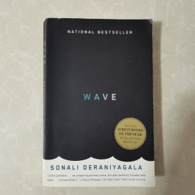 Wave巨浪，索纳莉·德拉尼亚加拉作品，英文原版