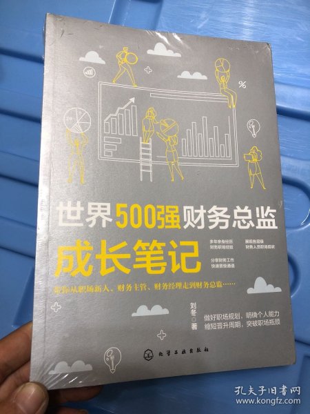 世界500强财务总监成长笔记