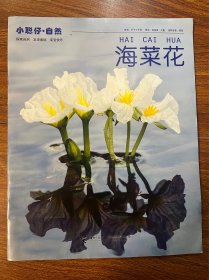 小聪仔自然 海菜花