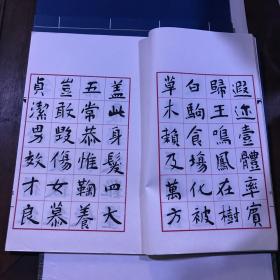 当代名家楷书谱 珍藏版