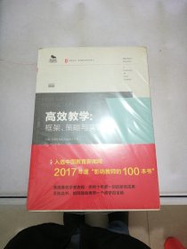 大夏书系·高效教学：框架、策略与实践【满30包邮】