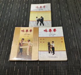 咏春拳+咏春拳续一木人桩及器械+咏春拳续三黏手与散打三本合售武术