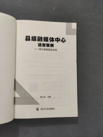 县级融媒体中心运营案例