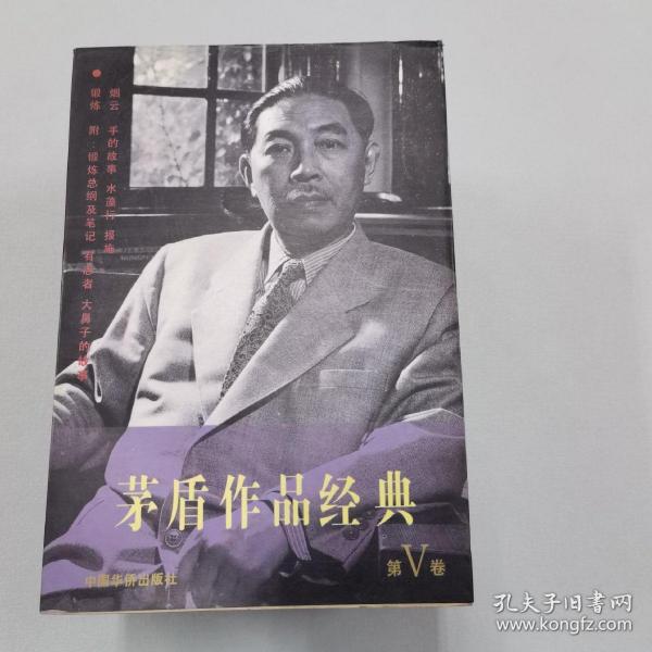 茅盾作品经典.第v卷