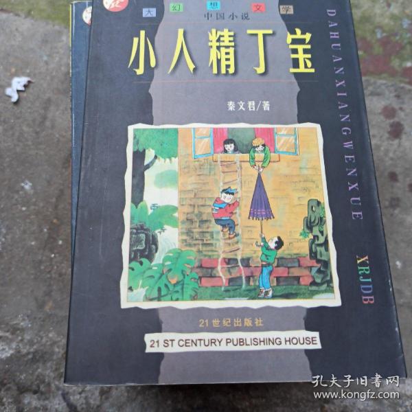 小人精丁宝：大幻想文学 : 中国小说