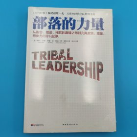 部落的力量：从抱怨、推诿、拖延的庸碌之师到充满激情、能量、想象力的非凡团队