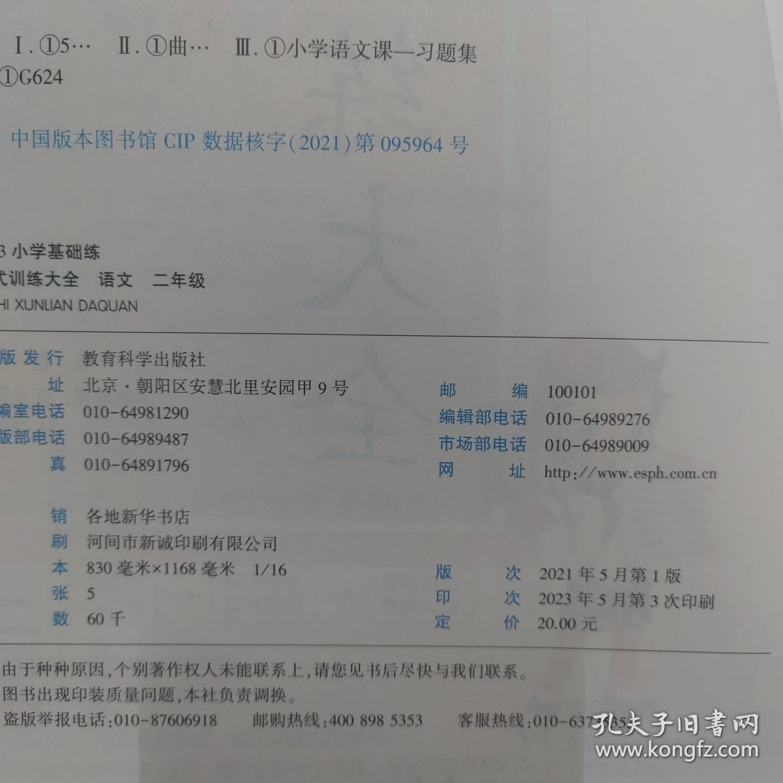 53小学基础练句式训练大全语文二年级上册
