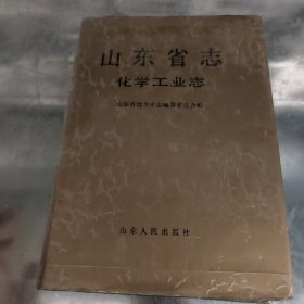 山东省志化学工业志