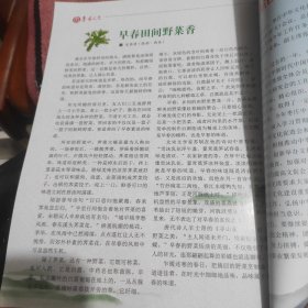 鲁南人文（总第37-38期）