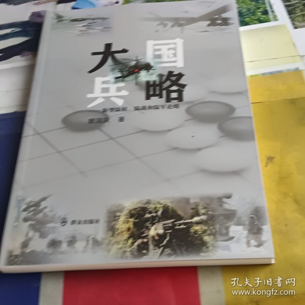 大国兵略:新型陆权.陆战和陆军论略 