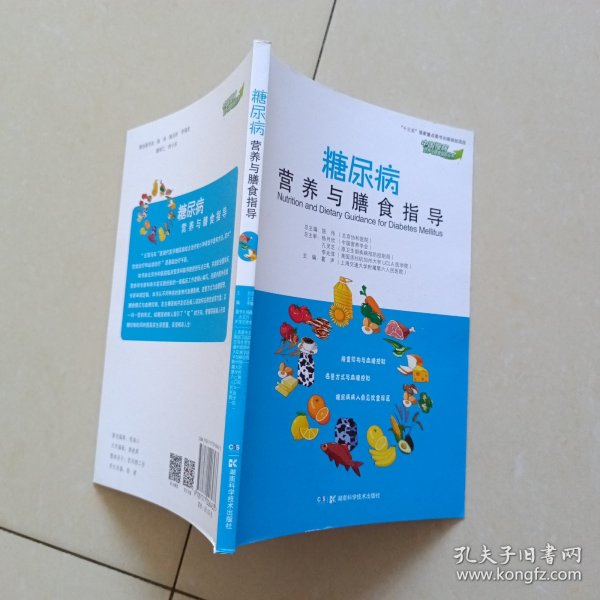 糖尿病营养与膳食指导（中国慢病营养与膳食指导丛书）