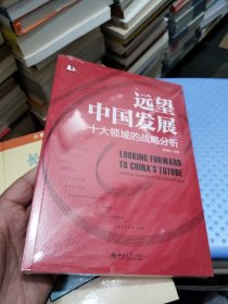 远望中国发展——十大领域的战略分析 中国式现代化行动指南 张国有
