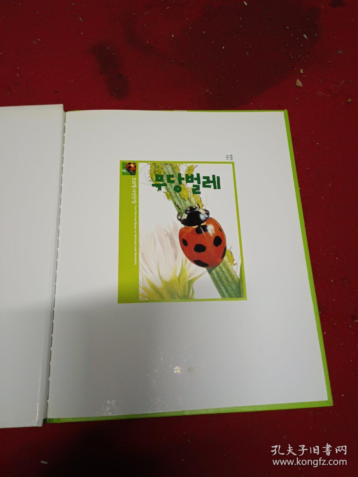 韩国原版儿童书百科书(狮七星瓢虫) 韩语 韩文 彩图 16开 绘本精装图书 二手书籍卖出不退不换，外观见图