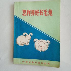 怎样养好长毛兔